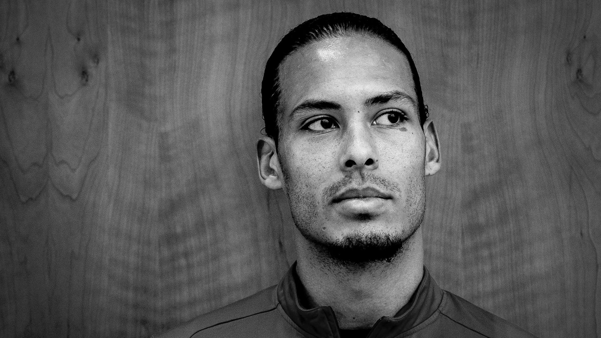 供一个全新 供一个全新