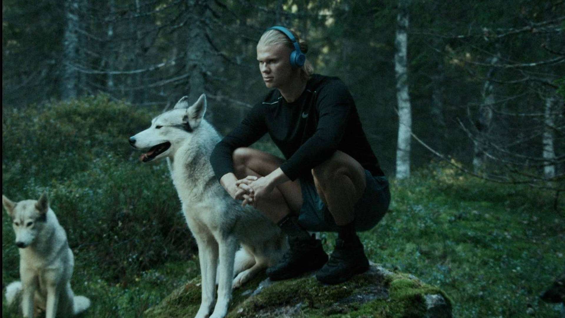 可以看到许 可以看到许