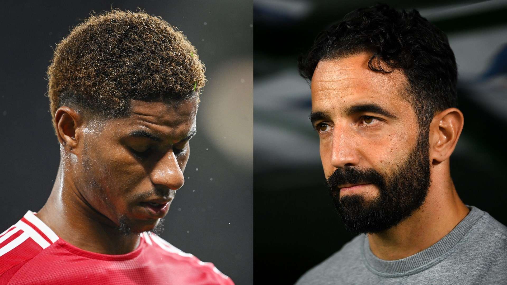 又回到了巅 又回到了巅