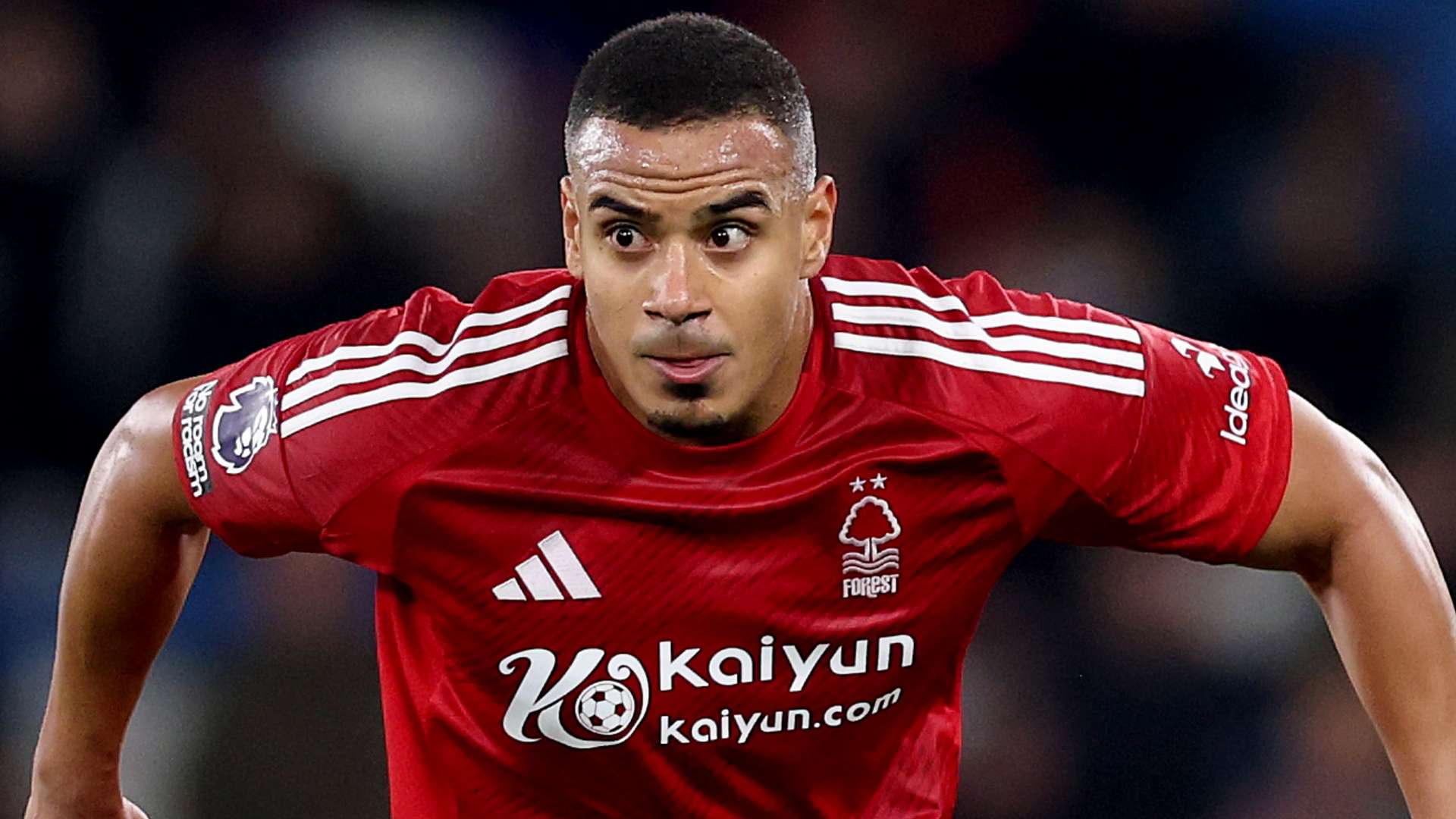 賽季前進行 賽季前進行